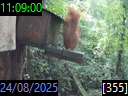 11:09:00