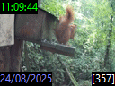 11:09:44