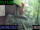 11:11:28