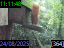 11:11:48