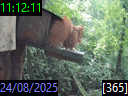 11:12:11