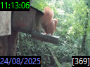 11:13:06