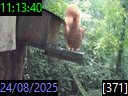 11:13:40
