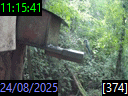 11:15:41