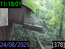 11:18:01