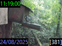 11:19:00