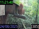 11:21:40