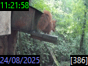 11:21:58
