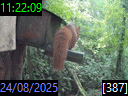 11:22:09