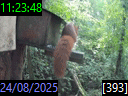 11:23:48