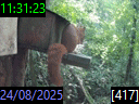11:31:23