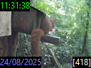 11:31:38