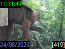 11:31:49
