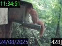 11:34:51