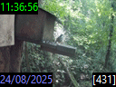 11:36:56