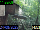 11:39:09
