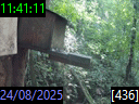 11:41:11
