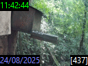 11:42:44