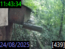 11:43:34