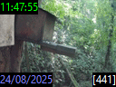11:47:55