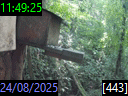 11:49:25