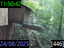 11:50:42