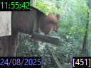 11:55:42