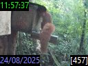 11:57:37