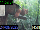 11:57:57