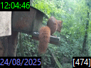 12:04:46