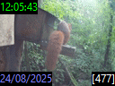 12:05:43