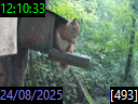 12:10:33