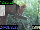 12:25:53