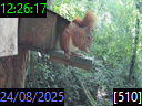 12:26:17