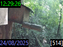 12:29:26