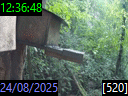 12:36:48