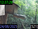 12:37:29
