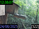 12:38:07