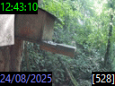 12:43:10