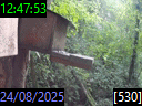 12:47:53