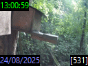 13:00:59