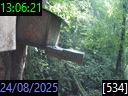 13:06:21