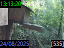 13:13:20