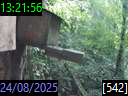 13:21:56