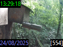 13:29:18