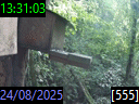 13:31:03