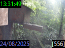 13:31:49