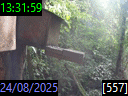 13:31:59