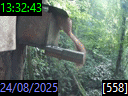 13:32:43