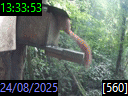 13:33:53
